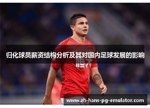 归化球员薪资结构分析及其对国内足球发展的影响