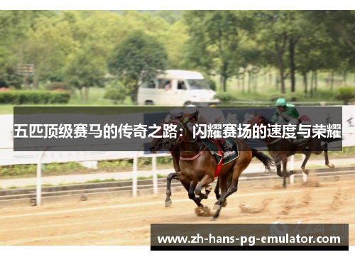 五匹顶级赛马的传奇之路：闪耀赛场的速度与荣耀