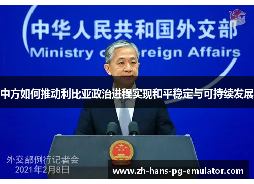 中方如何推动利比亚政治进程实现和平稳定与可持续发展