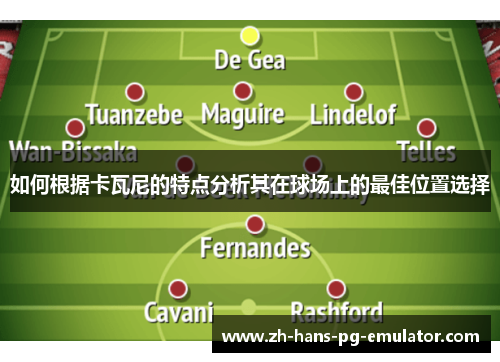 如何根据卡瓦尼的特点分析其在球场上的最佳位置选择 如何根据卡瓦尼的特点分析其在球场上的最佳位置选择