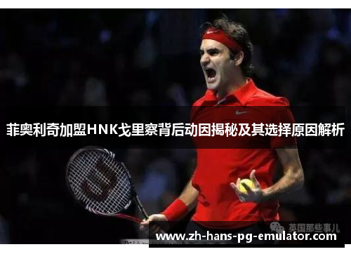 菲奥利奇加盟HNK戈里察背后动因揭秘及其选择原因解析