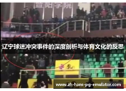 辽宁球迷冲突事件的深度剖析与体育文化的反思